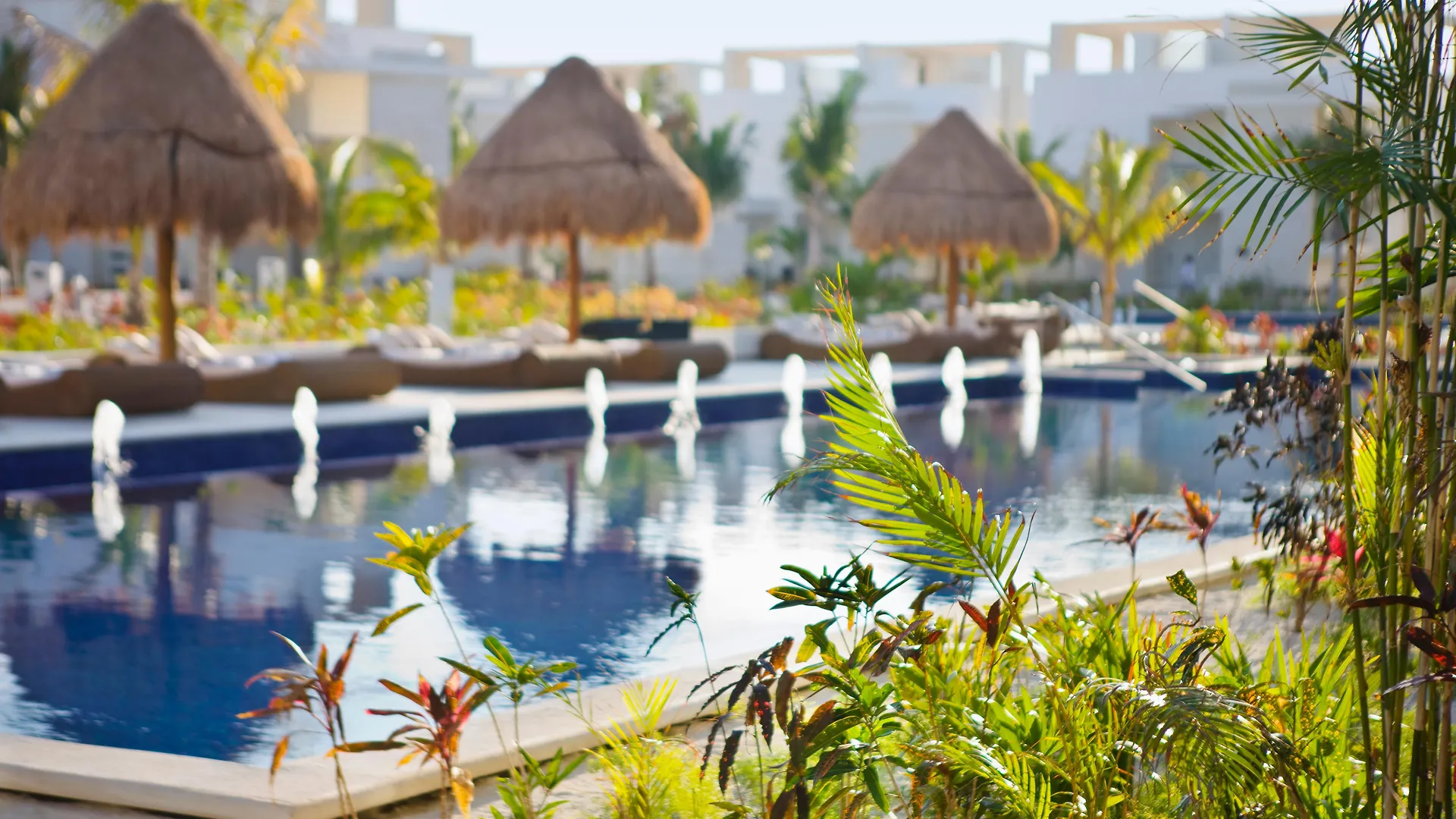 The Beloved Hotel (Adults Only) Cancun